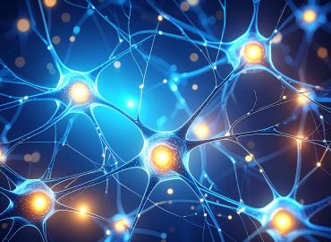 A network of neurons.